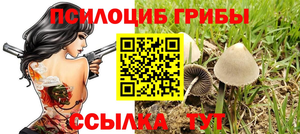 Галлюциногенные грибы GOLDEN TEACHER Кузнецк
