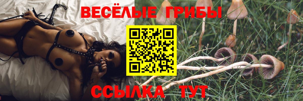 Псилоцибиновые грибы прущие грибы  Вход с VPN  Кузнецк 